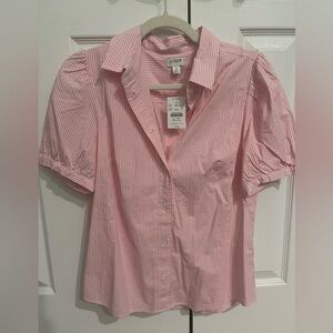 J. Crew Pink and White Striped Shirt